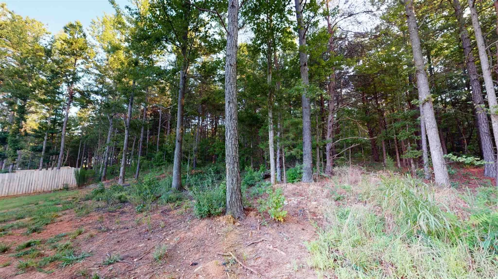1110 Springdale Road Mayo SC 29368