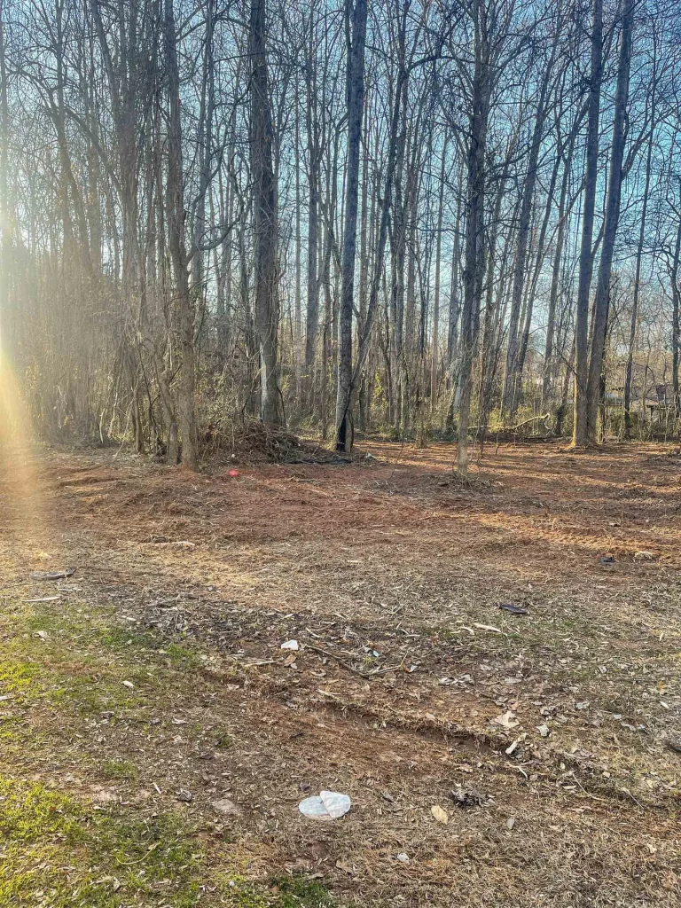 367 Bright Wick Ct Boiling Springs SC 29316