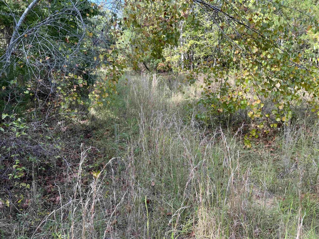 118 Lucille Drive Gray Court SC 29645