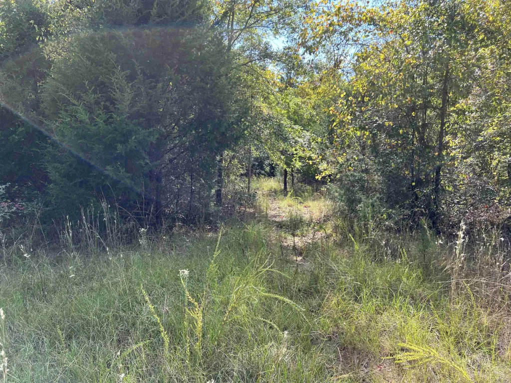 118 Lucille Drive Gray Court SC 29645