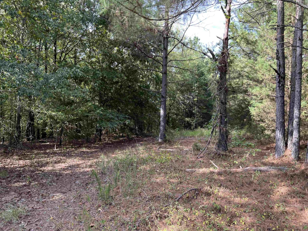 118 Lucille Drive Gray Court SC 29645