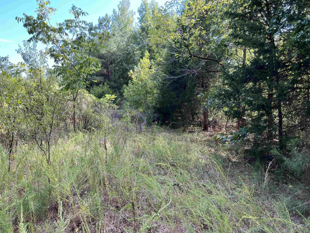 118 Lucille Drive Gray Court SC 29645