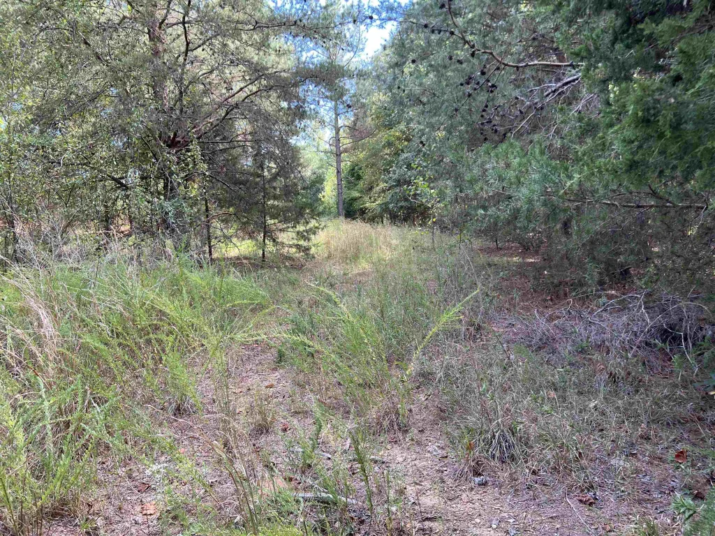 118 Lucille Drive Gray Court SC 29645