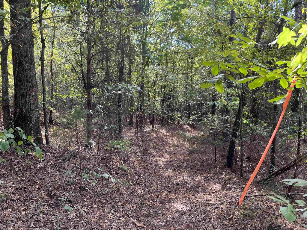 118 Lucille Drive Gray Court SC 29645