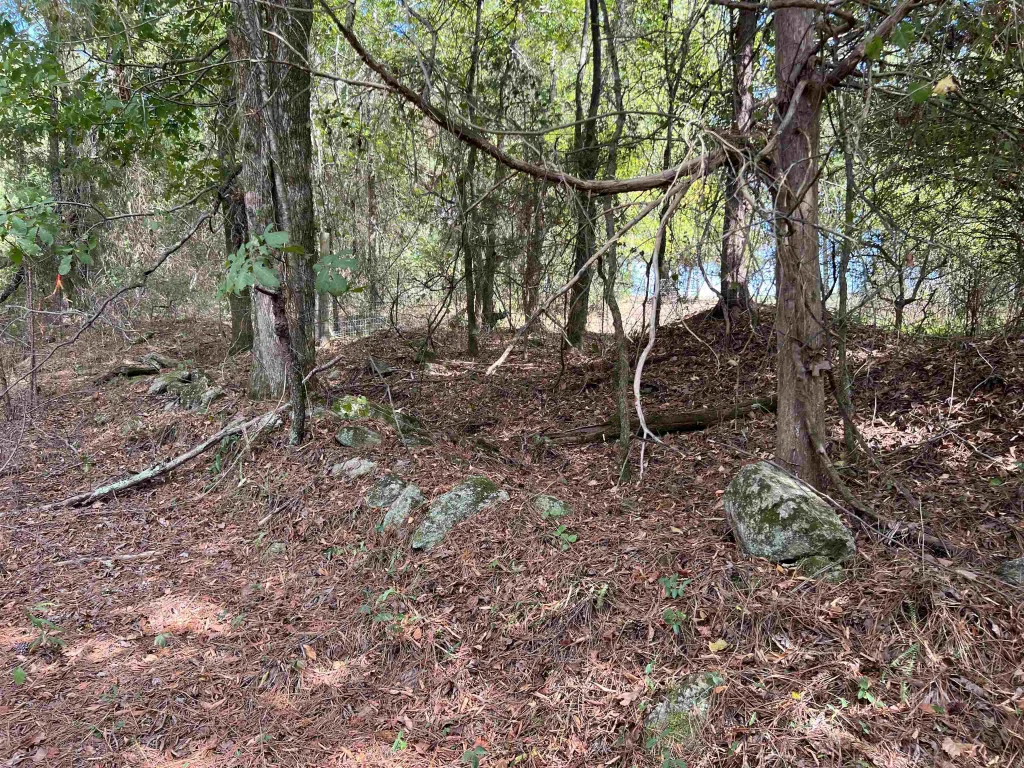 118 Lucille Drive Gray Court SC 29645