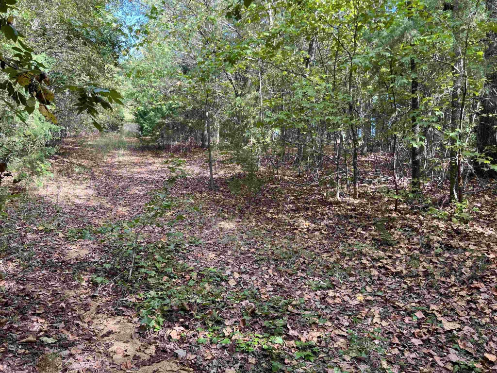 118 Lucille Drive Gray Court SC 29645