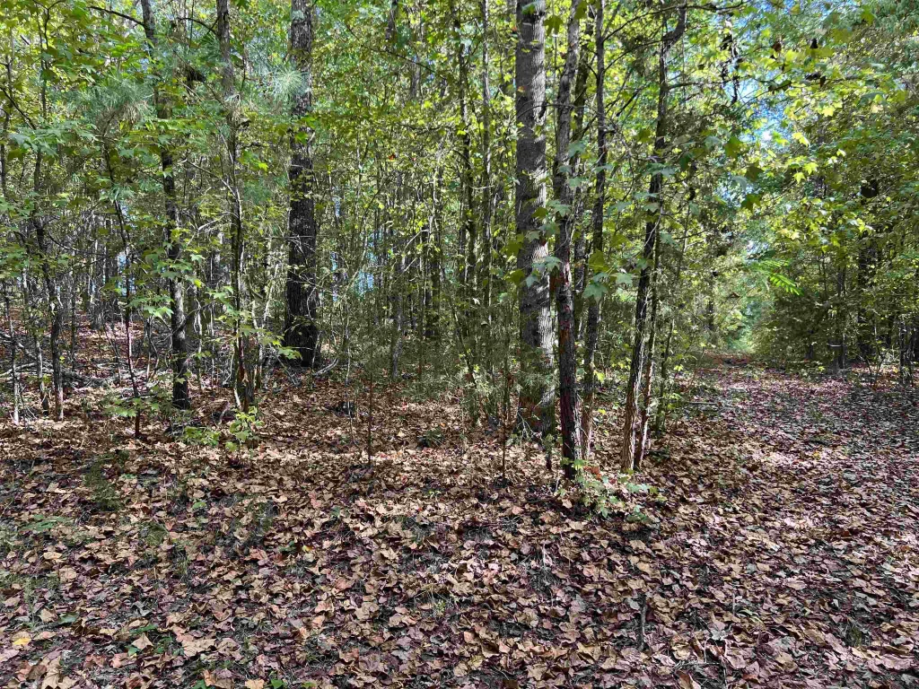118 Lucille Drive Gray Court SC 29645