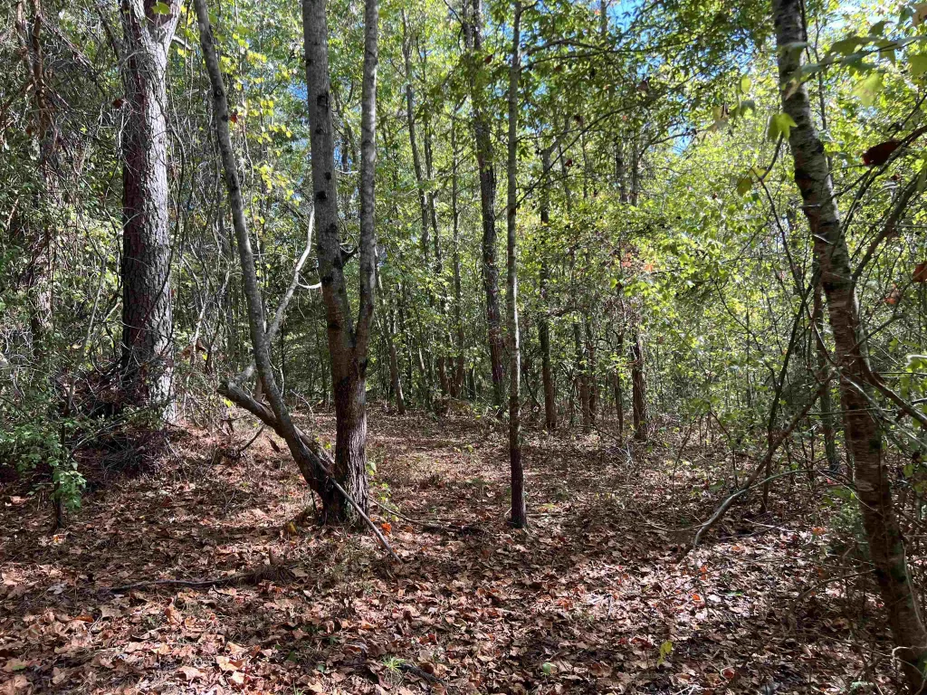118 Lucille Drive Gray Court SC 29645