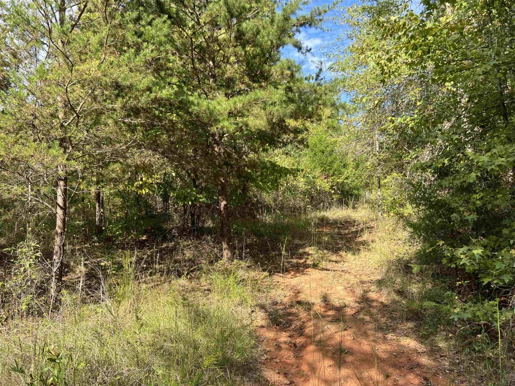118 Lucille Drive Gray Court SC 29645