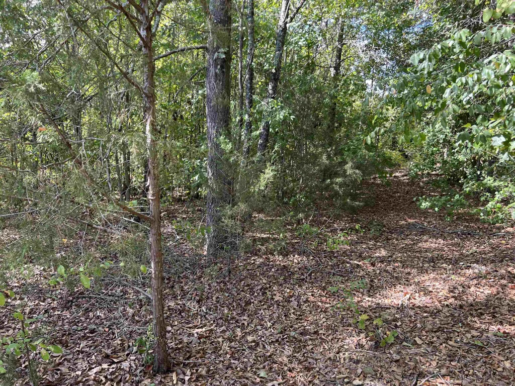 118 Lucille Drive Gray Court SC 29645