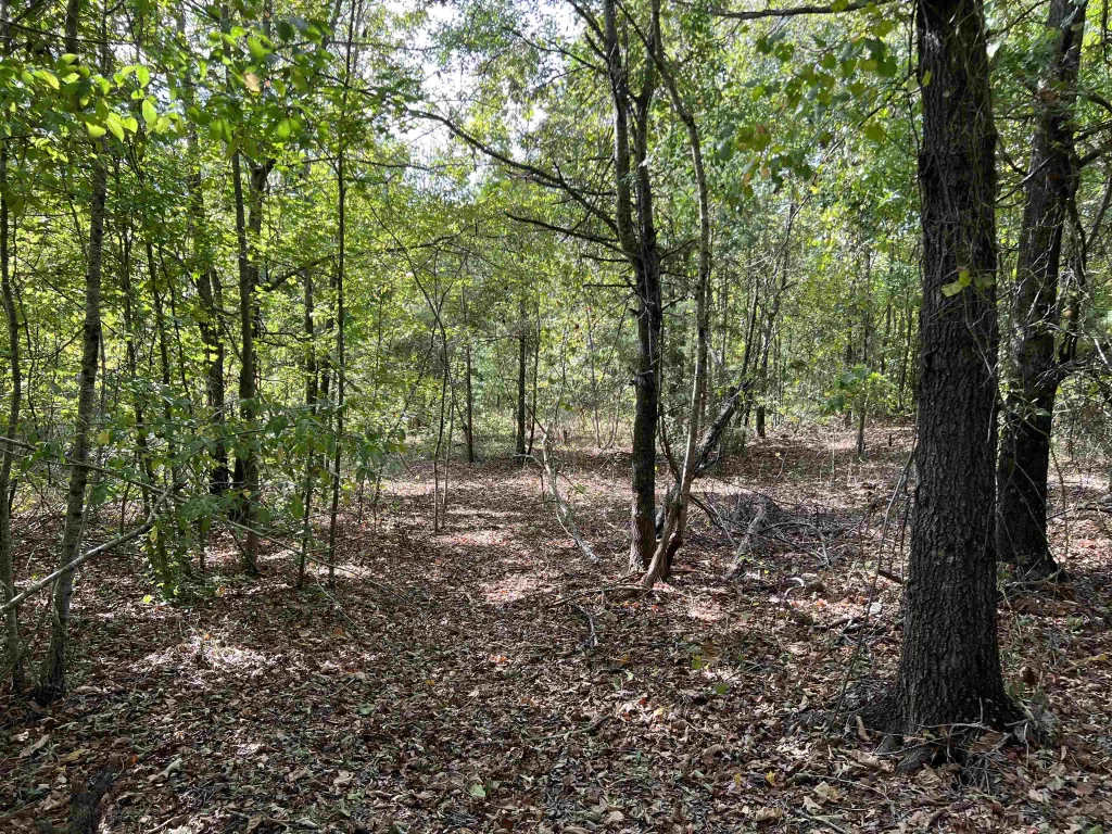 118 Lucille Drive Gray Court SC 29645