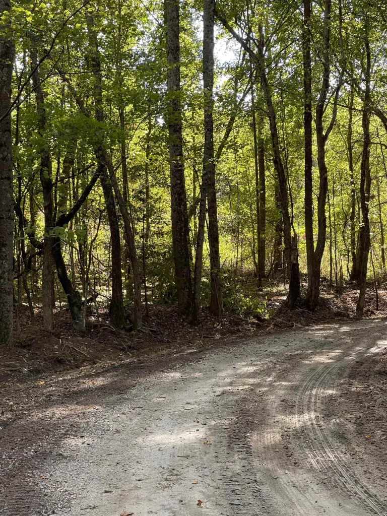 lot 4 Dowler Dr  Inman SC 29349