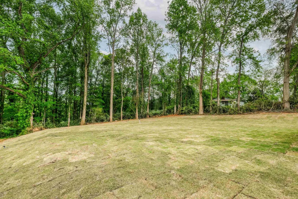 610 N Shamrock Avenue  Landrum SC 29356