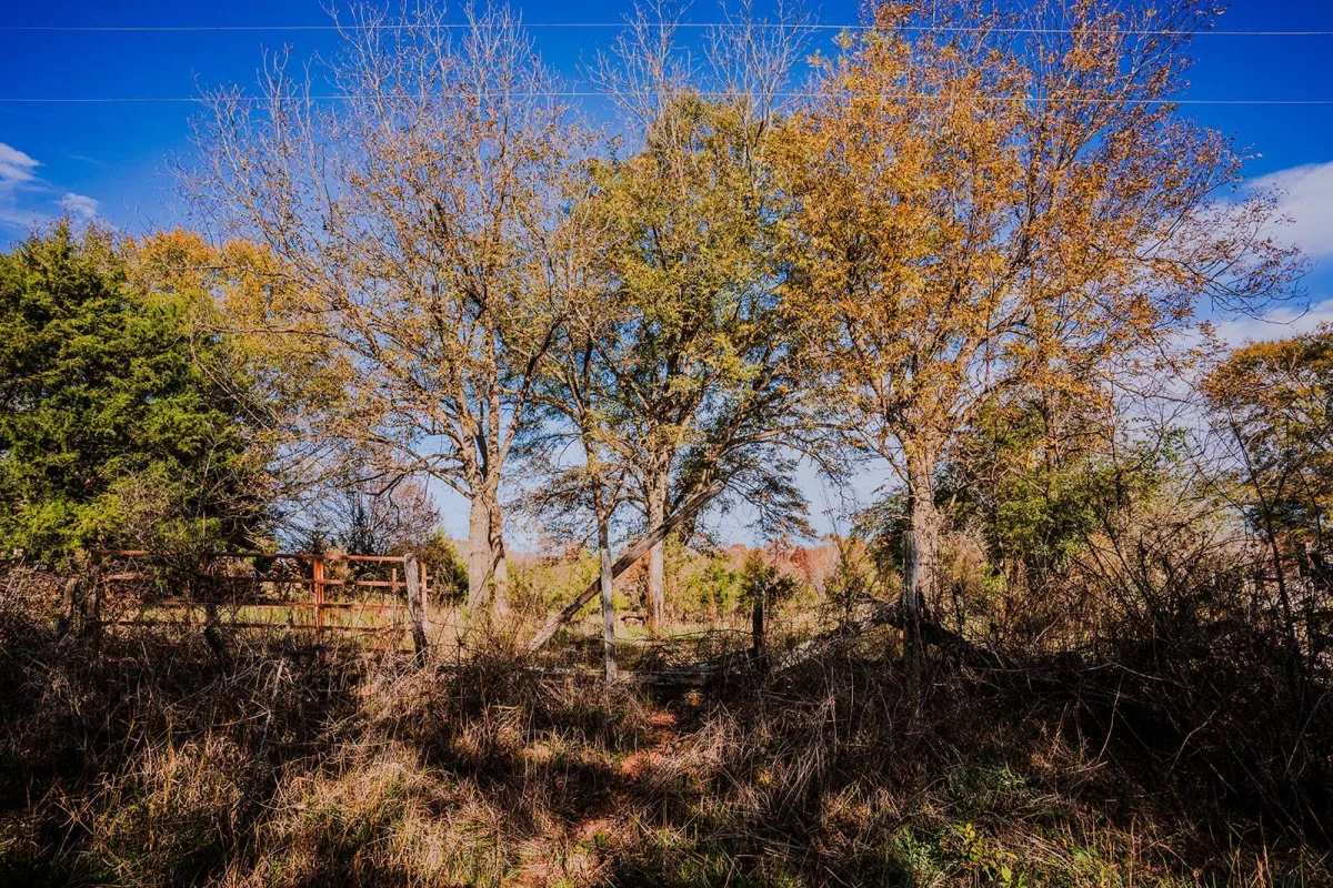 0 Perrine Road  ***  Gaffney SC 29341