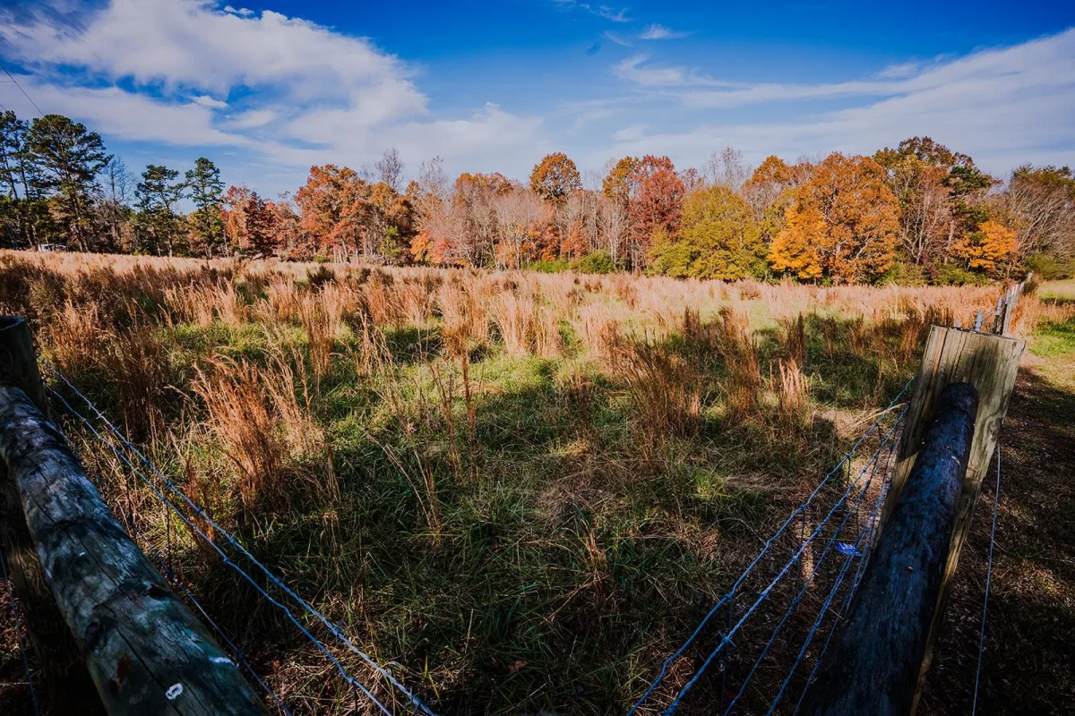 0 Perrine Road  ***  Gaffney SC 29341