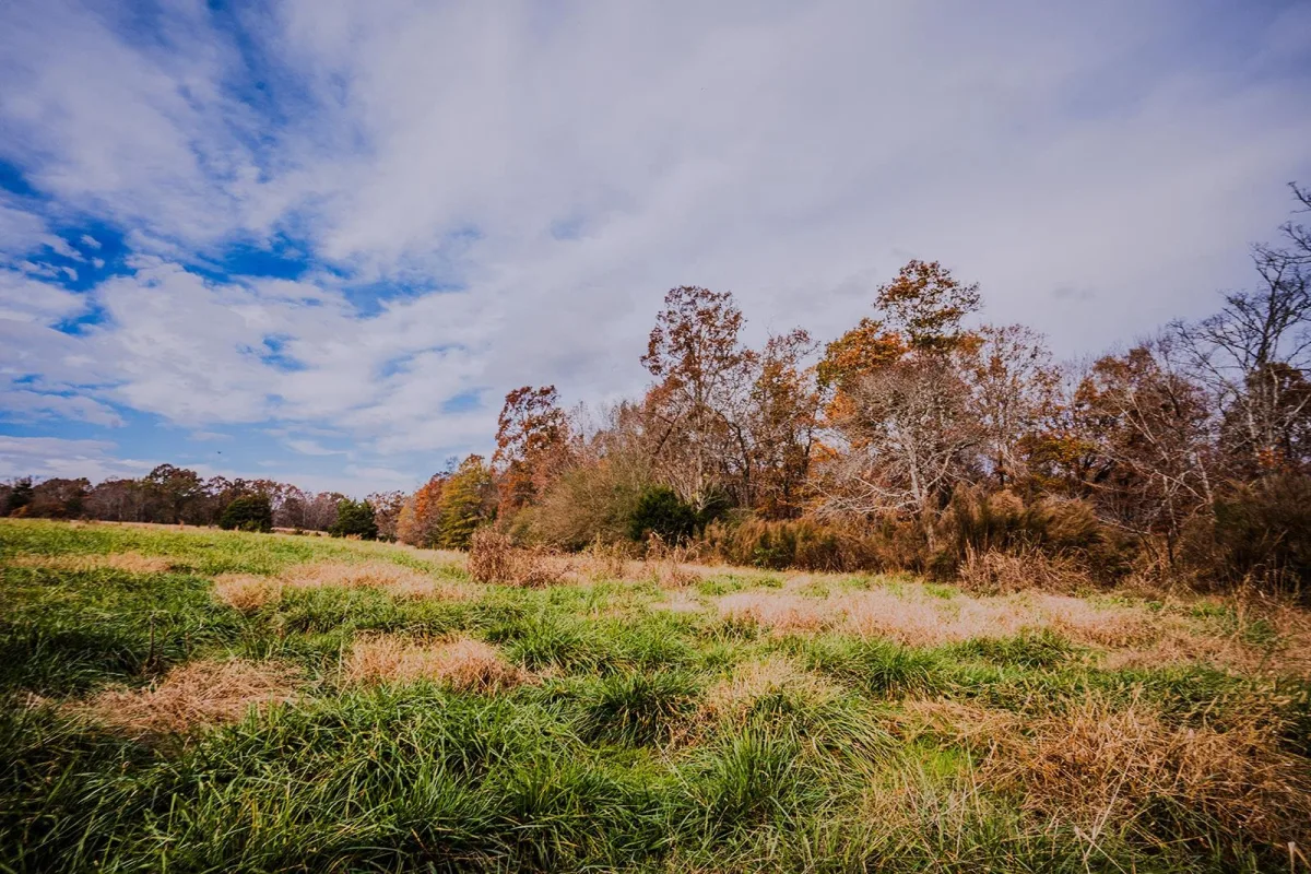 0 Perrine Road  ***  Gaffney SC 29341