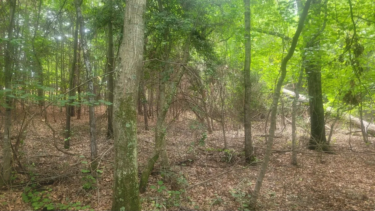 1429 Casey Creek rd  ***  Chesnee SC 29323