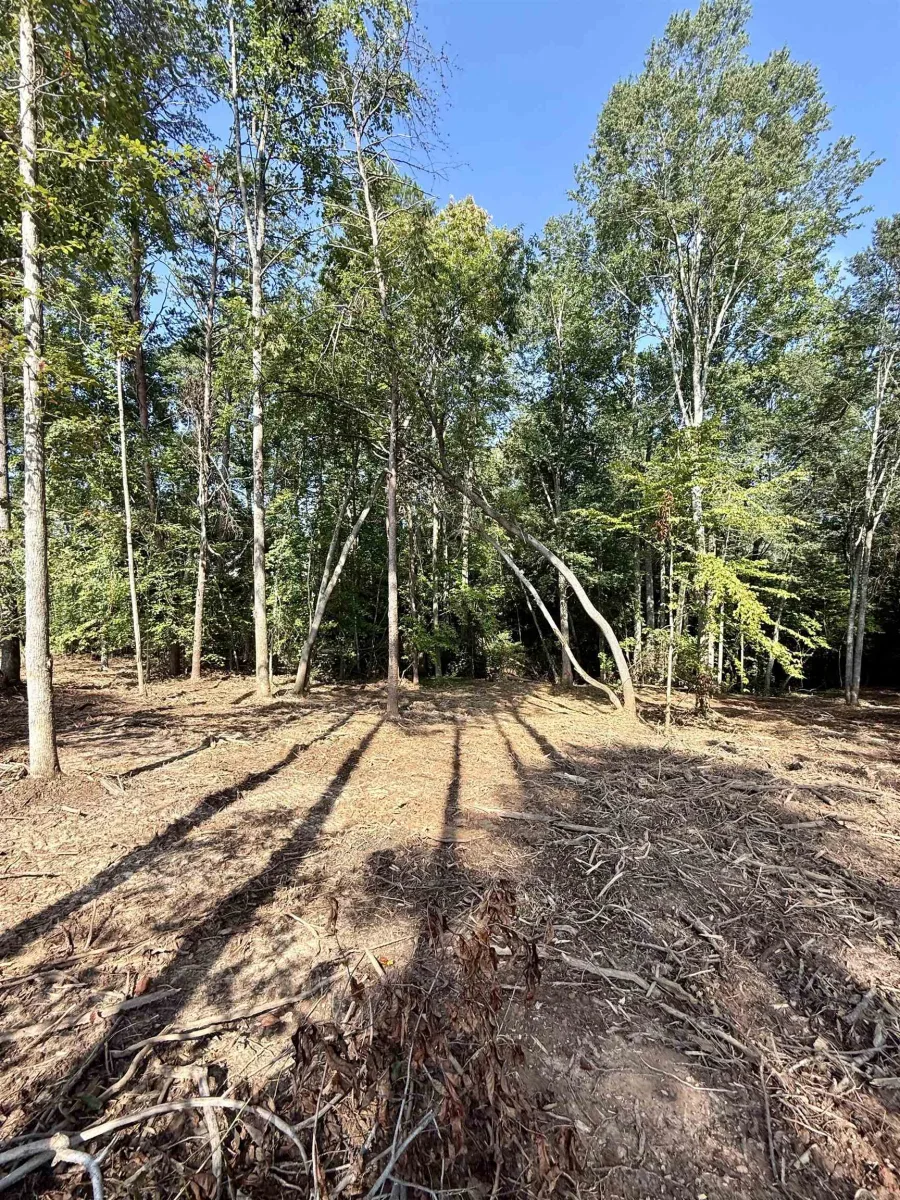 0 Thompson Road  ***  Greer SC 29651