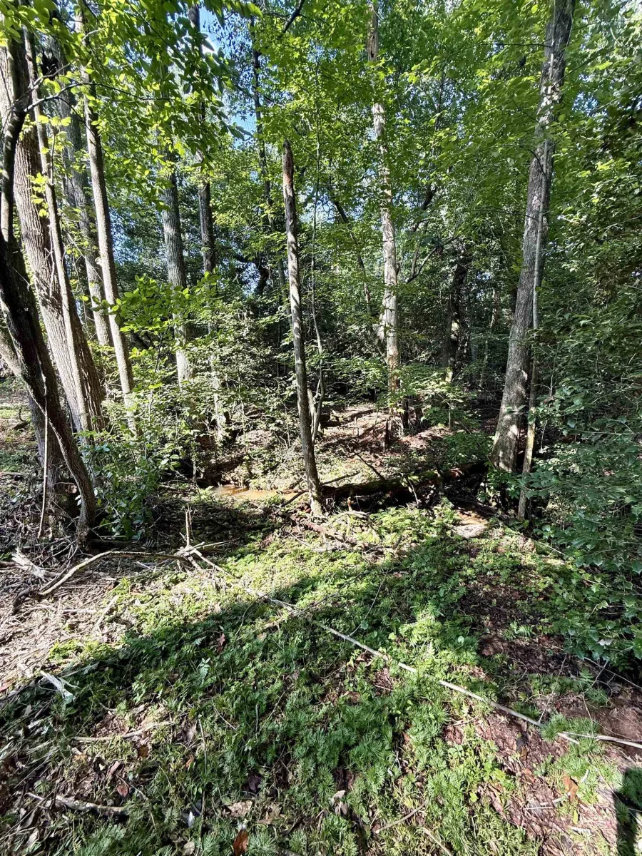 0 Thompson Road  ***  Greer SC 29651