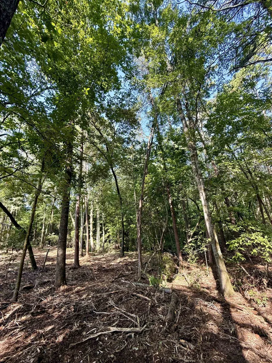 0 Thompson Road  ***  Greer SC 29651