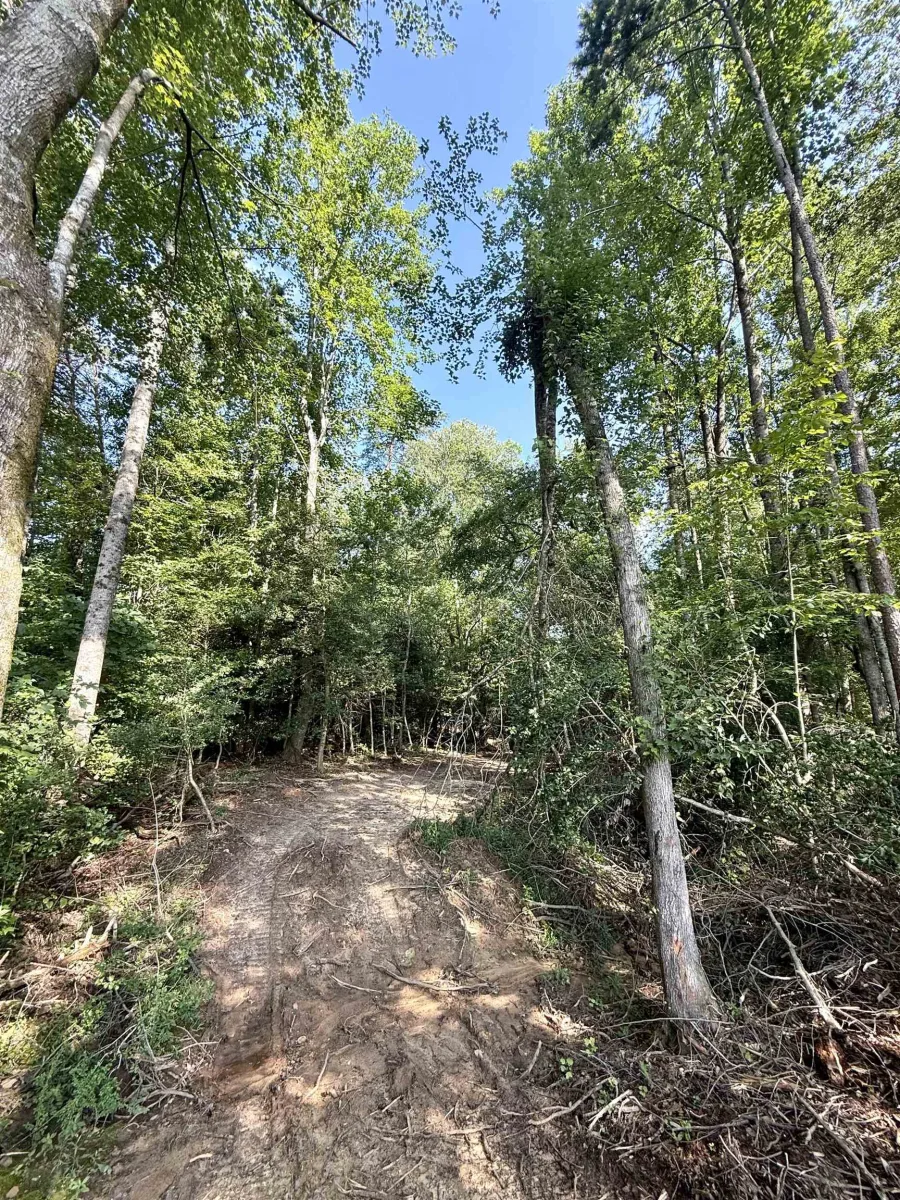 0 Thompson Road  ***  Greer SC 29651
