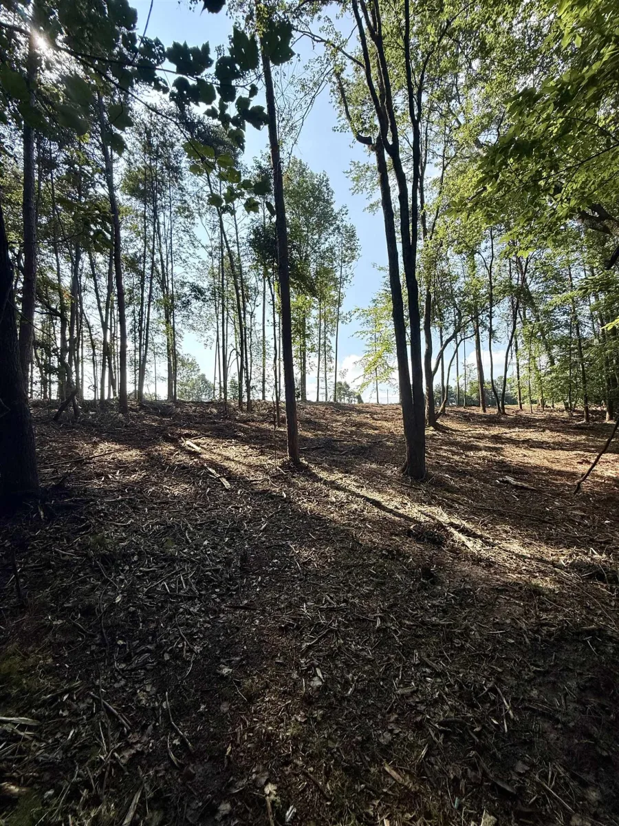 0 Thompson Road  ***  Greer SC 29651