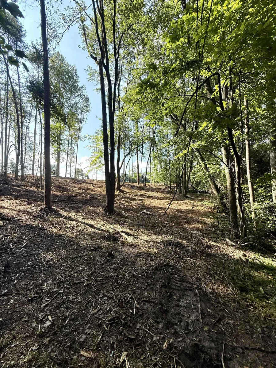 0 Thompson Road  ***  Greer SC 29651
