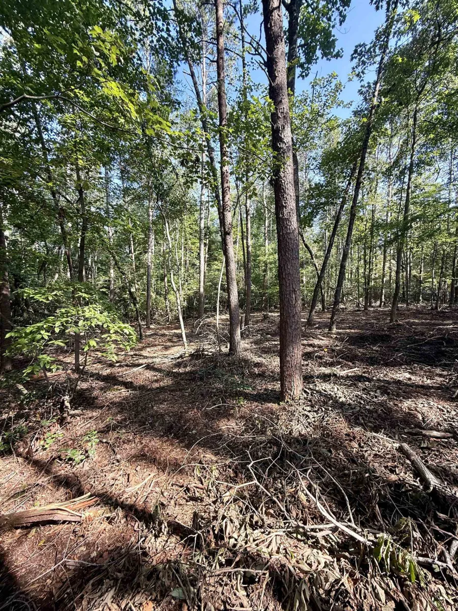 0 Thompson Road  ***  Greer SC 29651