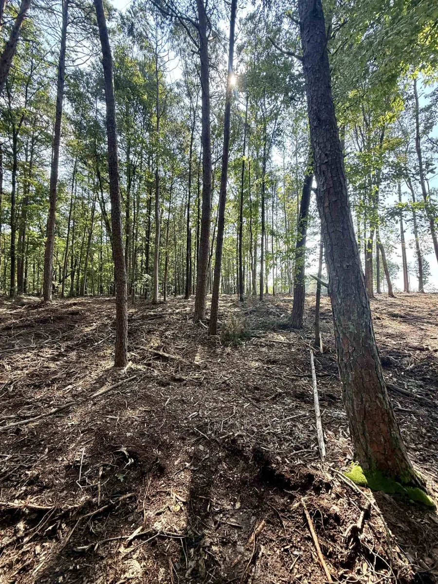 0 Thompson Road  ***  Greer SC 29651