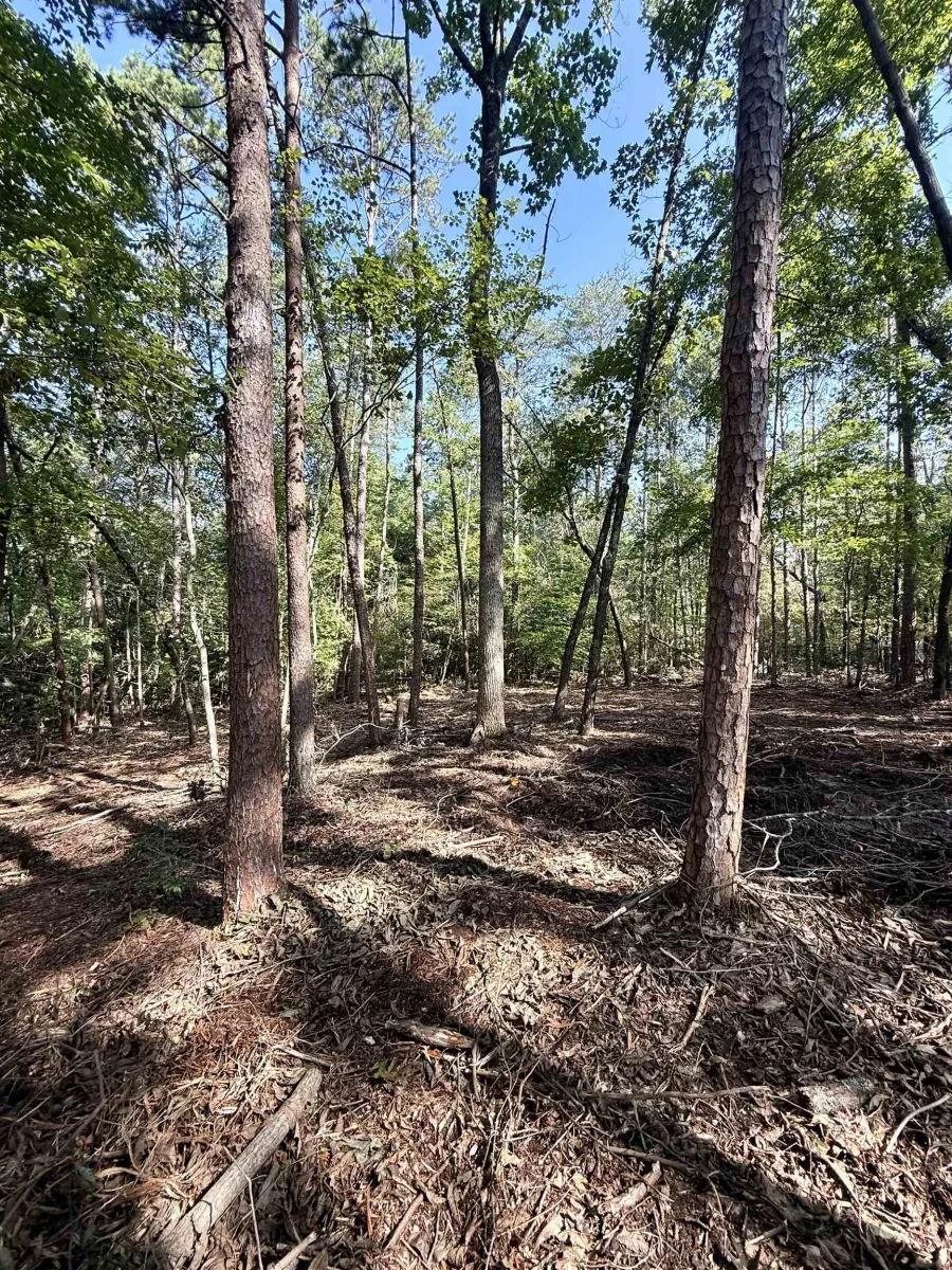 0 Thompson Road  ***  Greer SC 29651