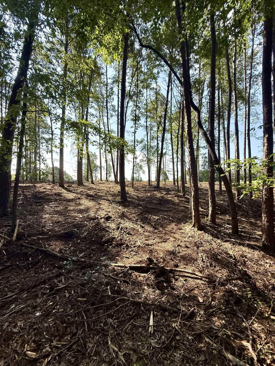 0 Thompson Road  ***  Greer SC 29651