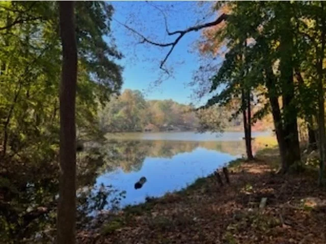 0 Berry Shoals Road  ***  Duncan SC 29334
