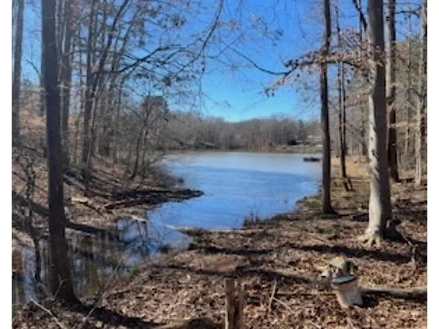 0 Berry Shoals Road  ***  Duncan SC 29334