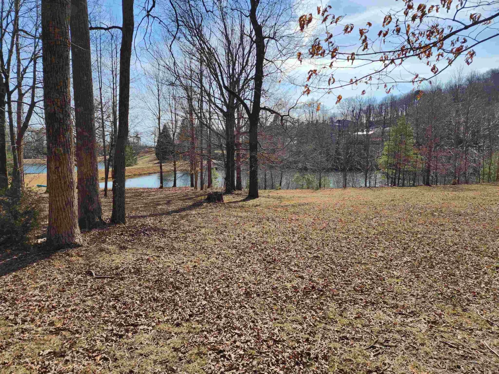 Lot 77 Serpentine Drive  ***  Columbus NC 28722