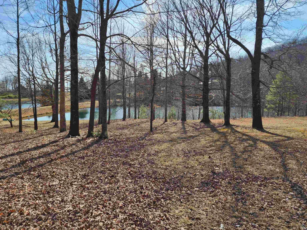 Lot 77 Serpentine Drive  ***  Columbus NC 28722