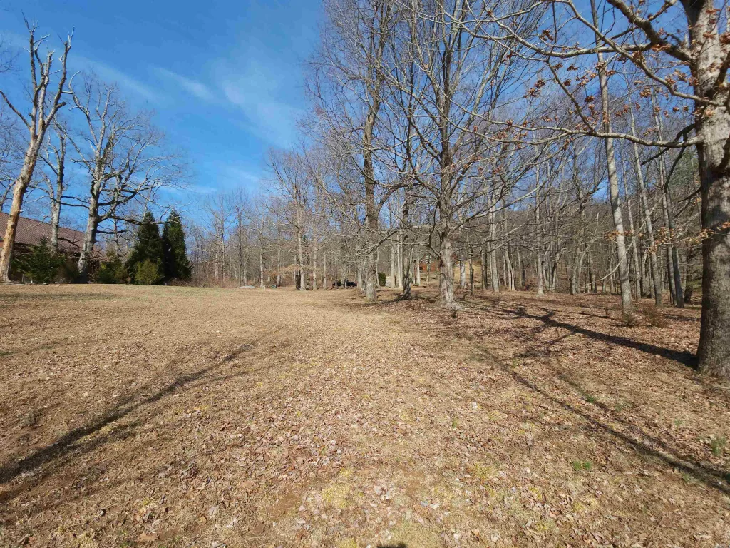 Lot 77 Serpentine Drive  ***  Columbus NC 28722