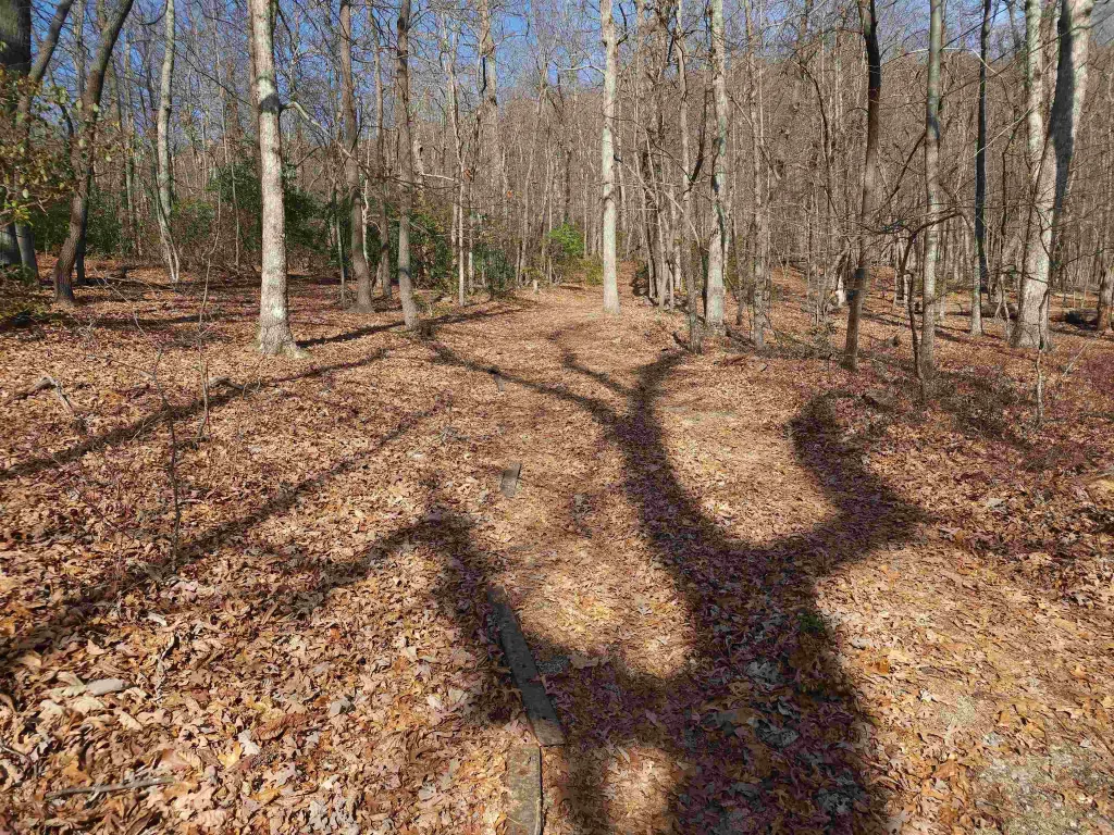 Lot 77 Serpentine Drive  ***  Columbus NC 28722