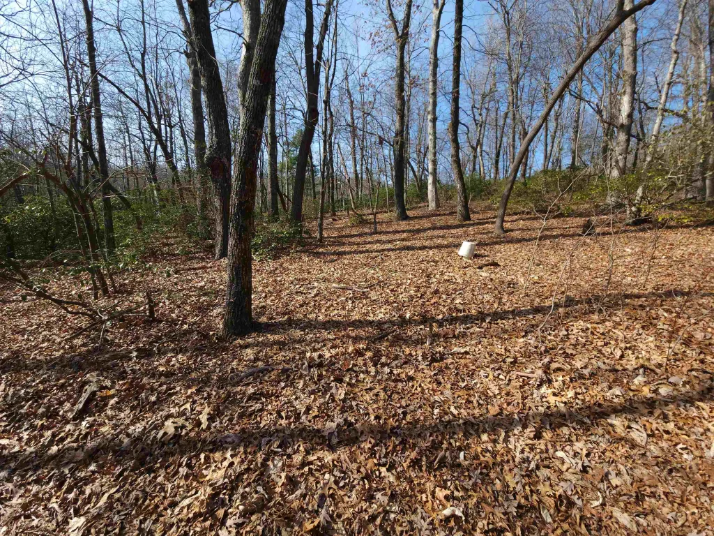 Lot 77 Serpentine Drive  ***  Columbus NC 28722