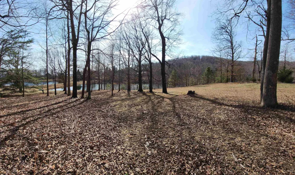 Lot 77 Serpentine Drive  ***  Columbus NC 28722