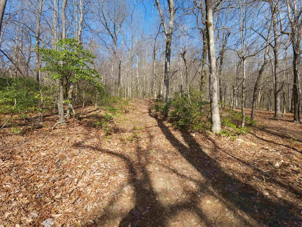 Lot 77 Serpentine Drive  ***  Columbus NC 28722