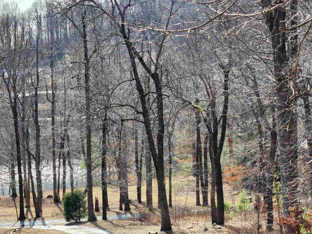 Lot 77 Serpentine Drive  ***  Columbus NC 28722