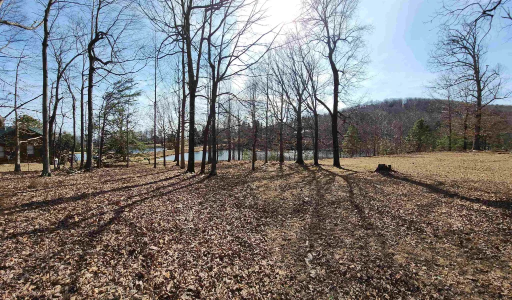 Lot 77 Serpentine Drive  ***  Columbus NC 28722