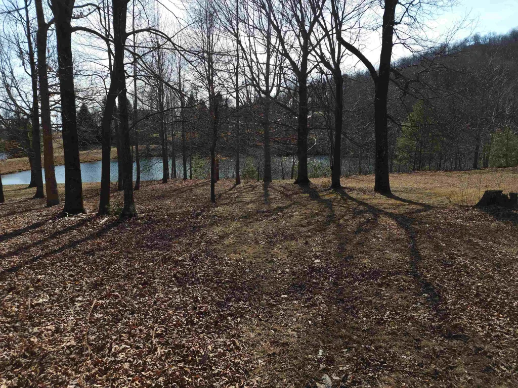 Lot 77 Serpentine Drive  ***  Columbus NC 28722