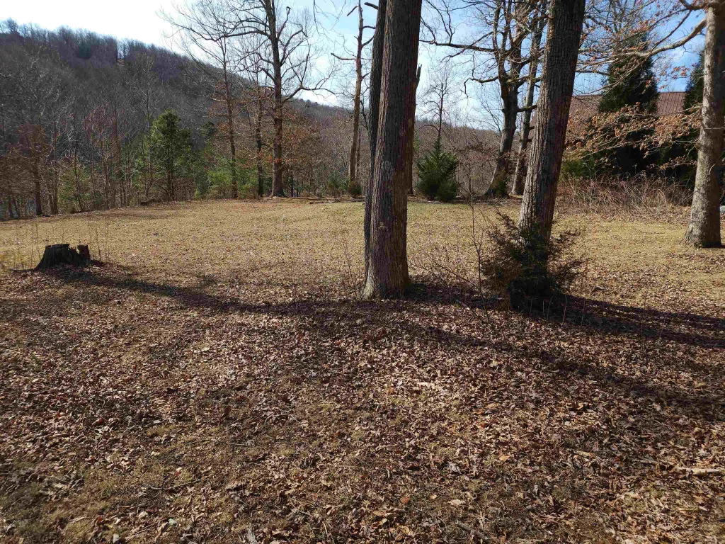 Lot 77 Serpentine Drive  ***  Columbus NC 28722