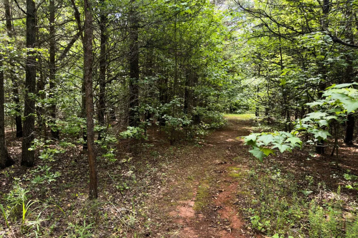 TBD Melvin Hill Road  ***  Campobello NC 28782