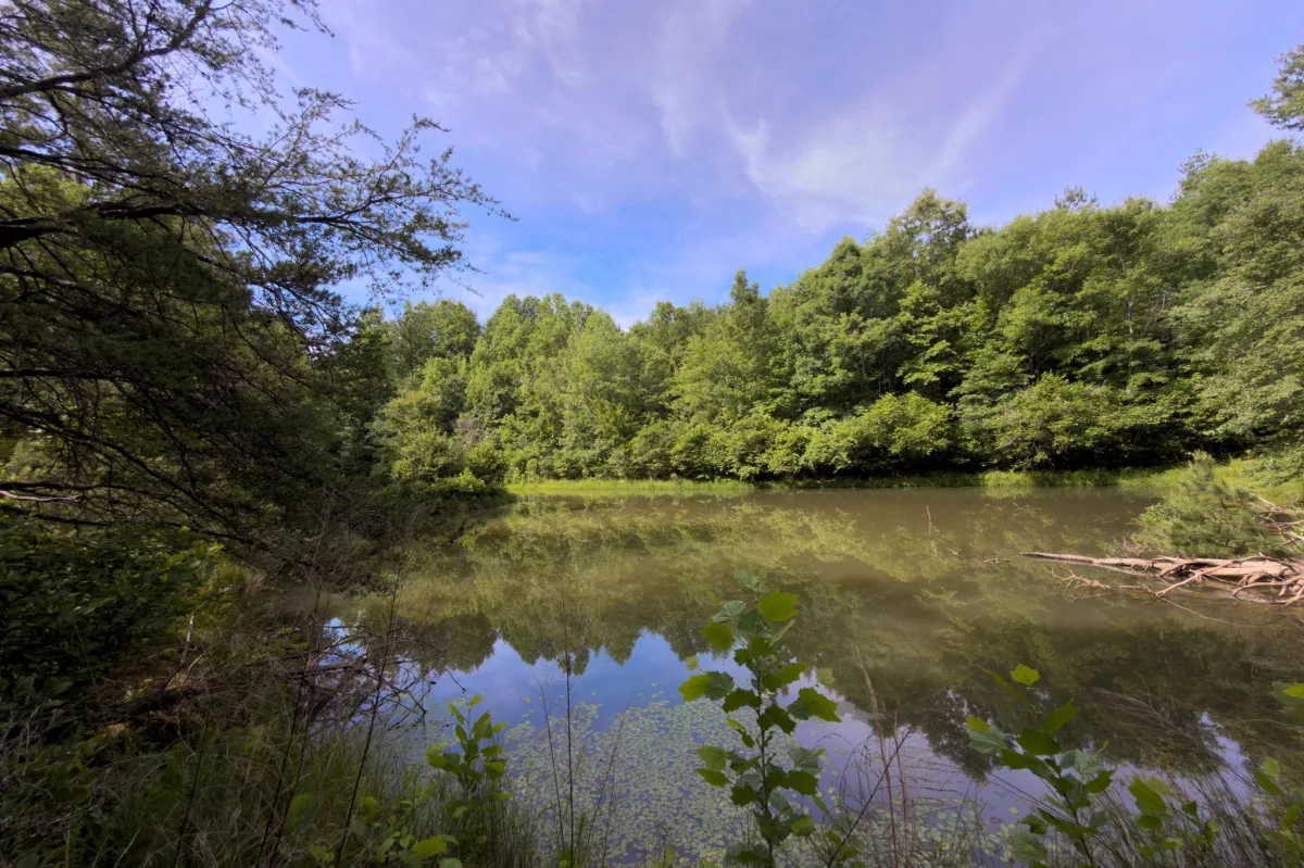 TBD Melvin Hill Road  ***  Campobello NC 28782
