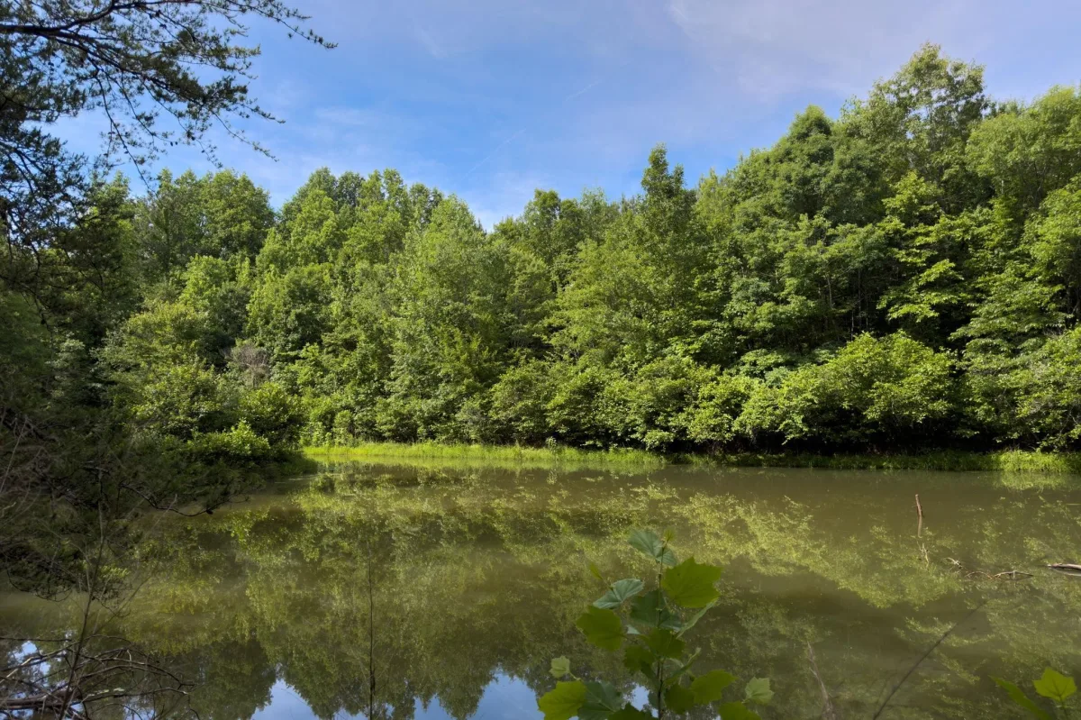 TBD Melvin Hill Road  ***  Campobello NC 28782