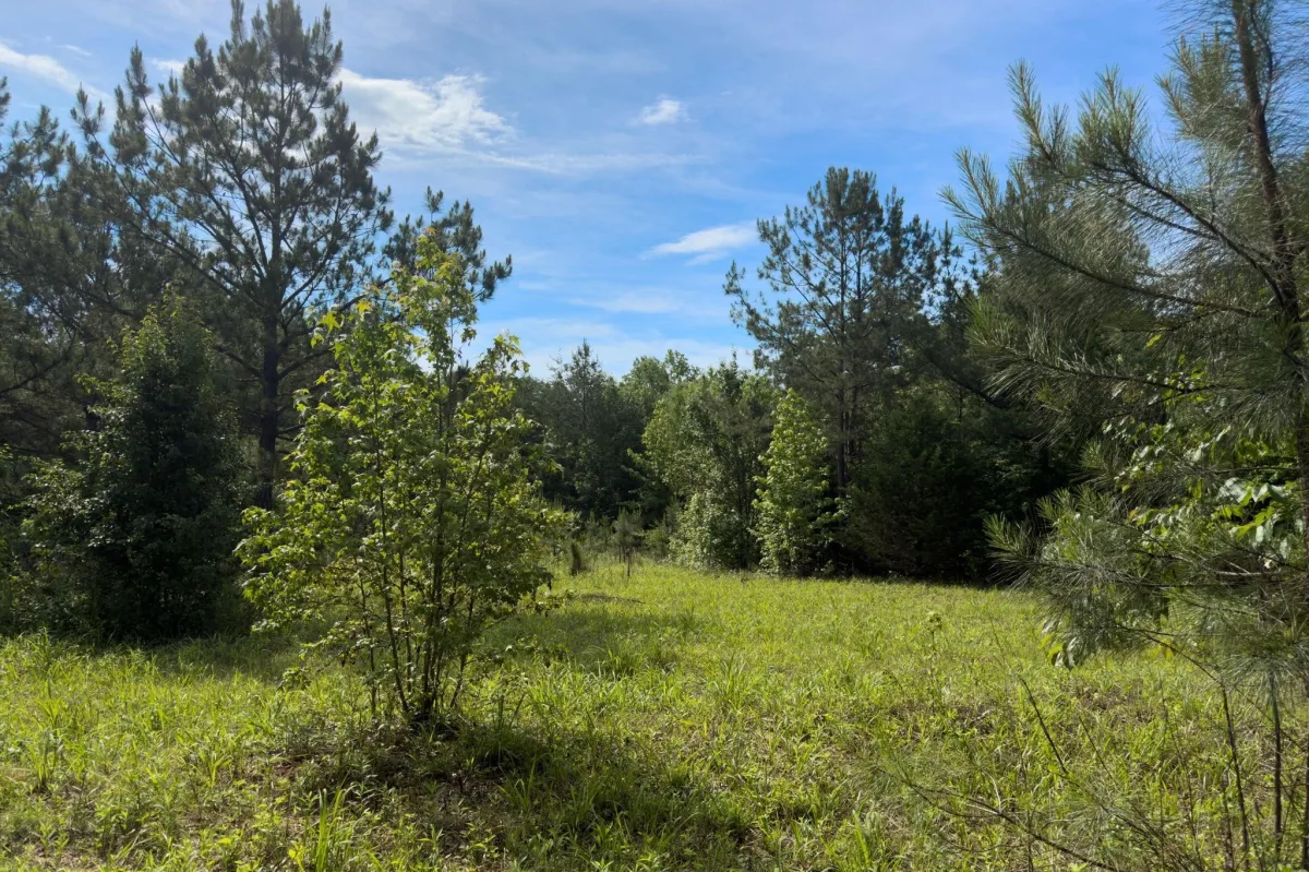 TBD Melvin Hill Road  ***  Campobello NC 28782