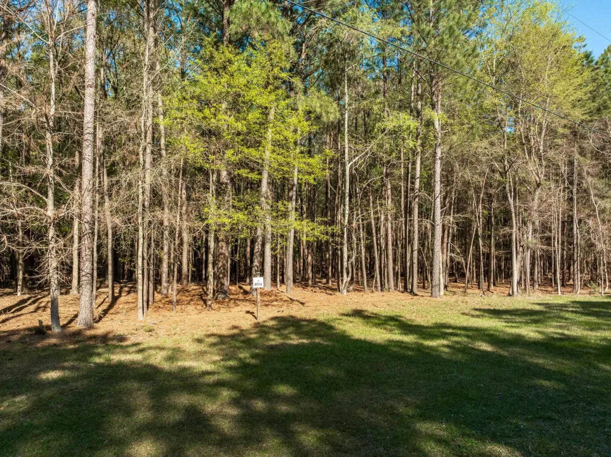 201 Peninsula Drive  ***  Prosperity SC 29070