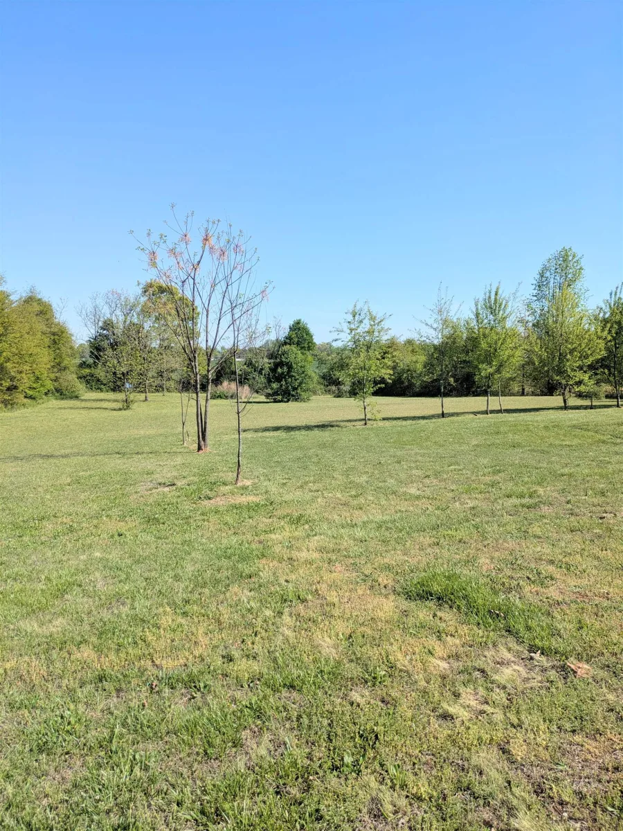 119 Overland Park Dr Chesnee SC 29323